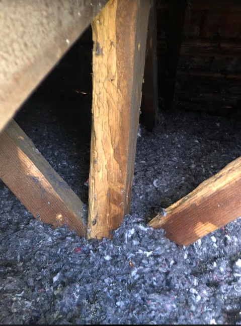 diagnostic et traitement suite à des problèmes au niveau de votre charpente