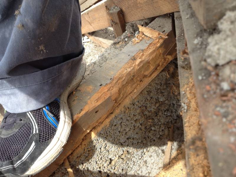 intervention pour le traitement d'une charpente sur la région de Blagnac des dégâts liés à la petite vrillettes