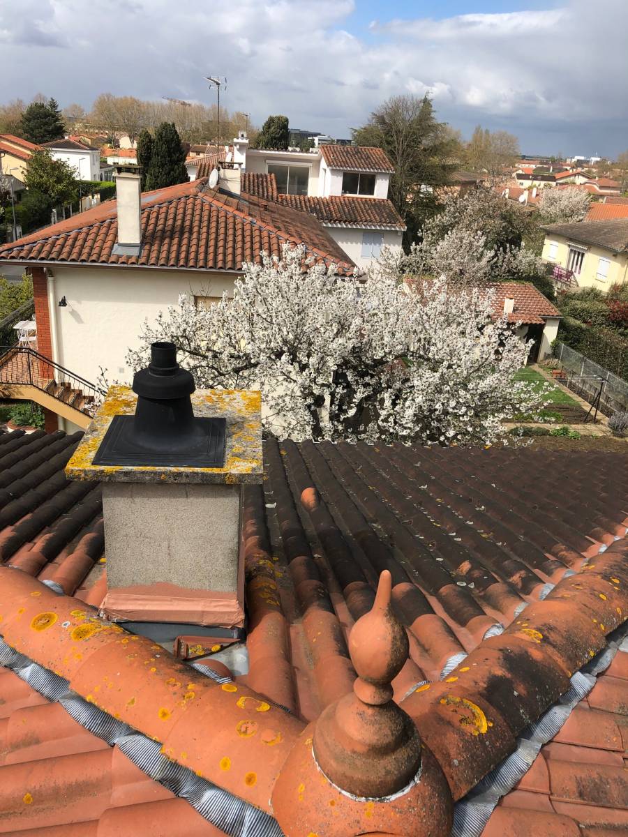 nettoyage de toiture (démoussage) et traitement de toiture par hydrofuge