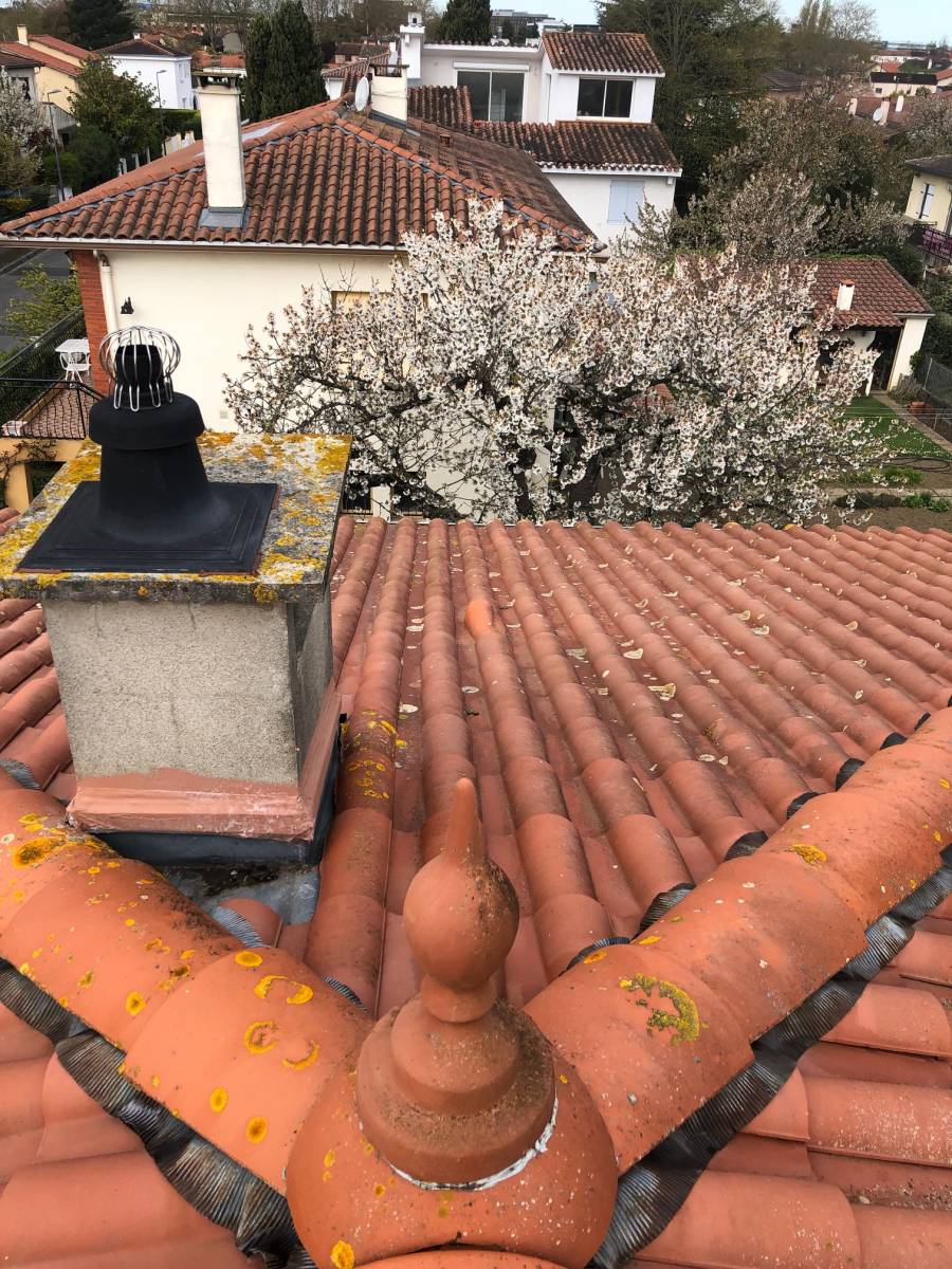 démoussage de toiture et traitement hydrofuge d'une toiture